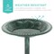 Best Choice Products Outdoor Rustic Pedestal Bird Bath Accent for Garden, Yard w/ Fleur-de-Lis Accents